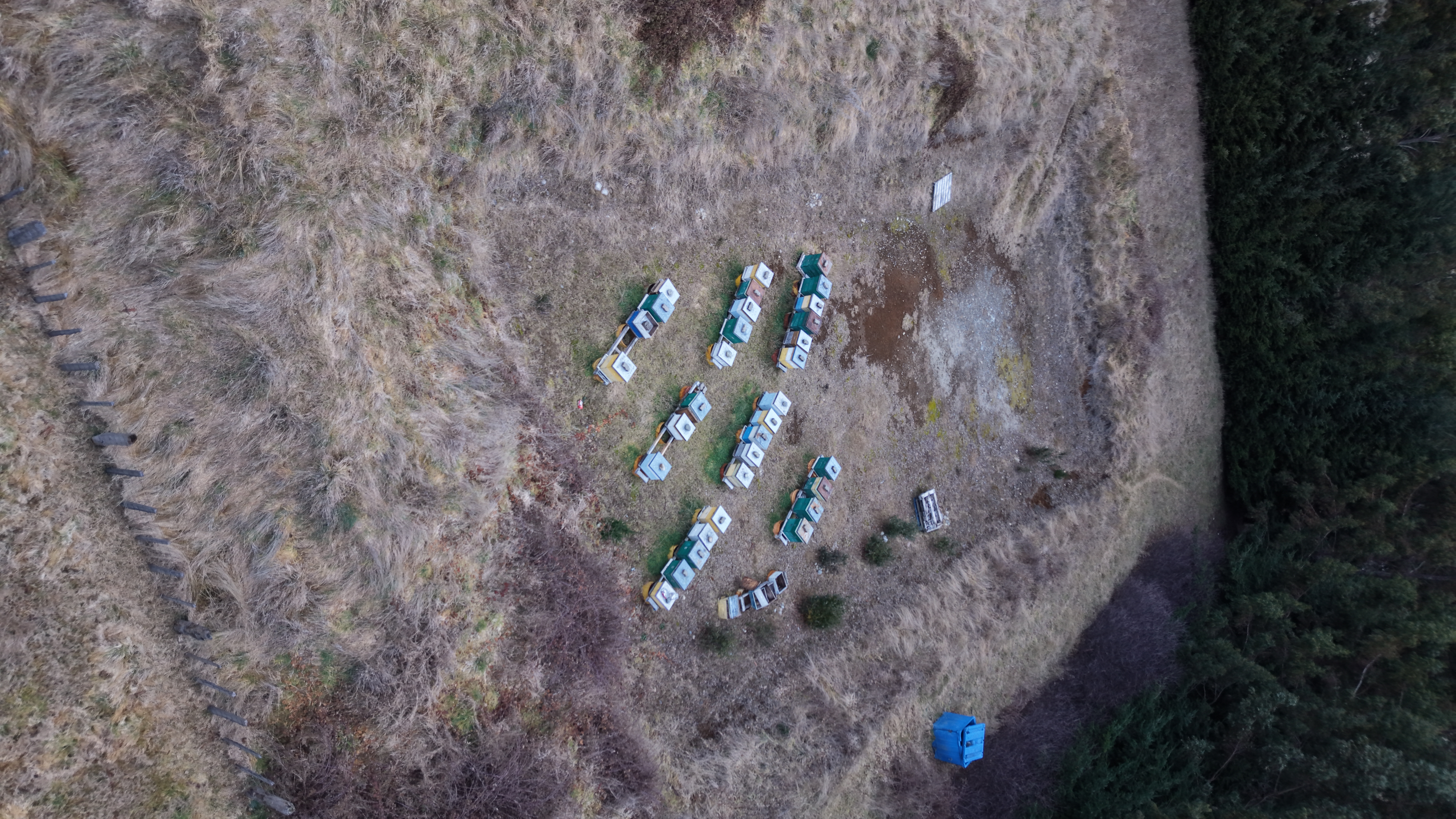 Overhead view of the apiaries at Fundo La Pampita, August 2026